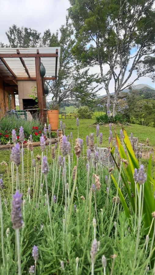 Sítio Recanto da Guarda - Cabana Araucária Bom Retiro  Exterior foto