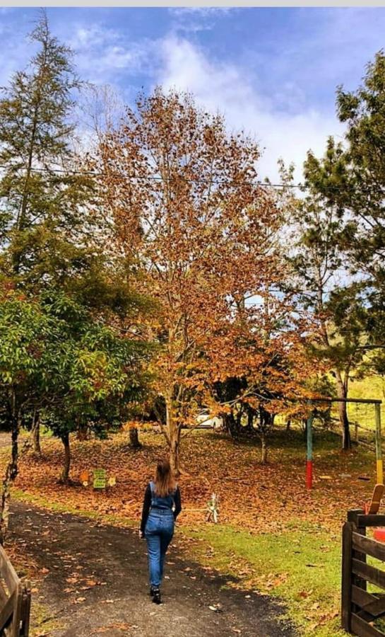 Sítio Recanto da Guarda - Cabana Araucária Bom Retiro  Exterior foto