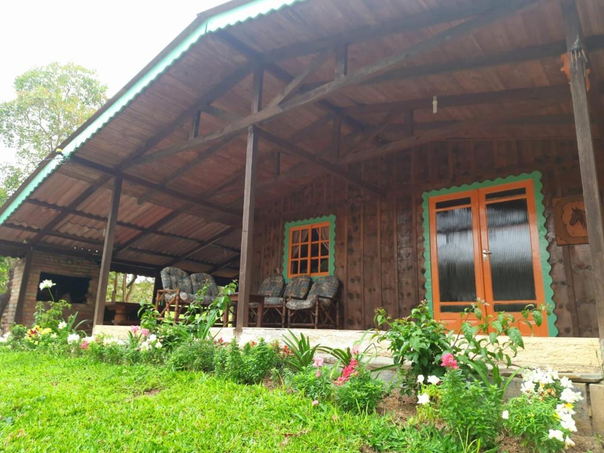 Sítio Recanto da Guarda - Cabana Araucária Bom Retiro  Exterior foto